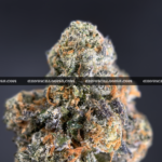 Ice King strain dense frosty indica cannabis buds for delivery in DC and Virginia