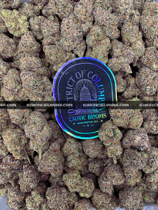 Lemonhead OG strain with zesty lemon aroma, golden trichomes, and sativa-dominant effects, available for cannabis delivery in DC and Virginia.