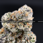 Lemonhead OG strain with zesty lemon aroma, golden trichomes, and sativa-dominant effects, available for cannabis delivery in DC and Virginia.