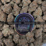 Limesicle strain dense neon green buds with orange hairs and amber trichomes – Exotic Blooms DC, MD, VA cannabis delivery