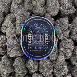 Permanent Marker indica hybrid cannabis strain – available for weed delivery in DC, Virginia, and Richmond via Exotic Blooms