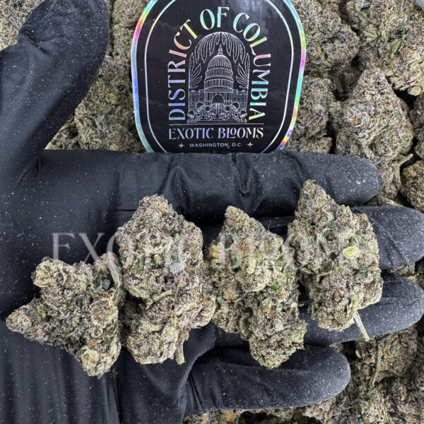 Permanent Marker indica hybrid cannabis strain – available for weed delivery in DC, Virginia, and Richmond via Exotic Blooms