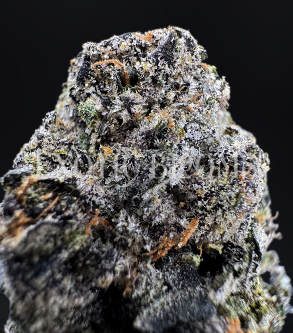 Permanent Marker indica hybrid cannabis strain – available for weed delivery in DC, Virginia, and Richmond via Exotic Blooms