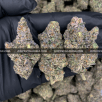 Pink Ice Cream Cake Strain – Indica Hybrid Flower DC VA Richmond