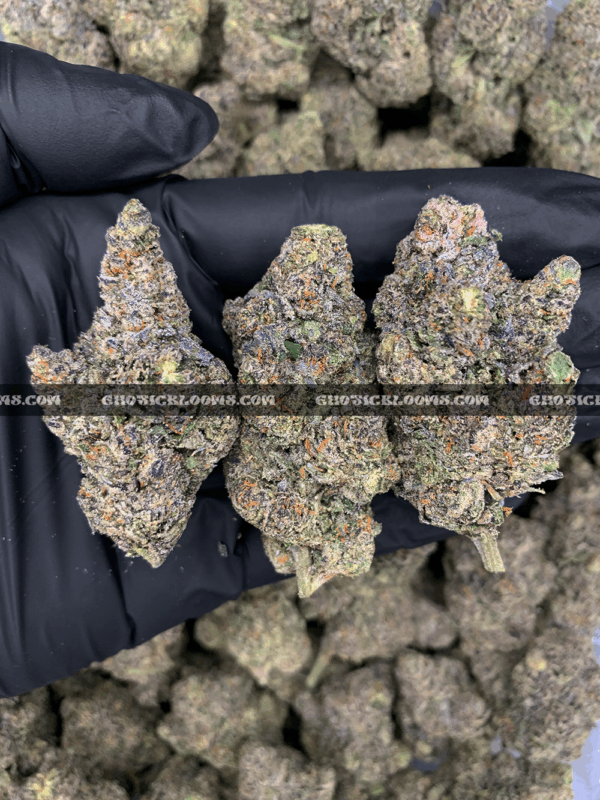 Pink Ice Cream Cake Strain – Indica Hybrid Flower DC VA Richmond