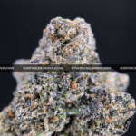 Close-up of Pink Ice Cream Cake cannabis strain flower, dense buds with trichomes, available for weed delivery in DC, Virginia, and Richmond
