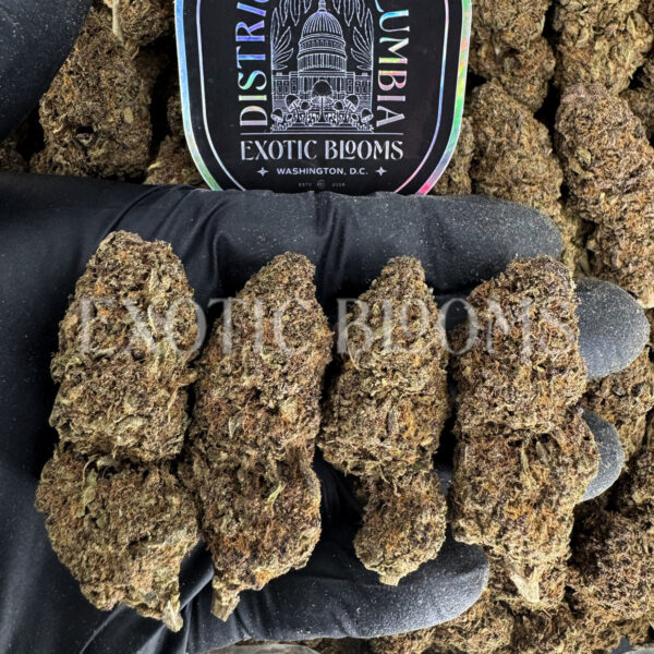 Pink Rozay indica hybrid cannabis strain – available for weed delivery in DC, Virginia, and Richmond via Exotic Blooms