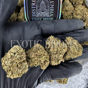 Rose Gold indica hybrid cannabis strain – available for weed delivery in DC, Virginia, and Richmond via Exotic Blooms