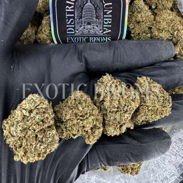 Rose Gold indica hybrid cannabis strain – available for weed delivery in DC, Virginia, and Richmond via Exotic Blooms