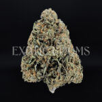 Rose Gold indica hybrid cannabis strain – available for weed delivery in DC, Virginia, and Richmond via Exotic Blooms