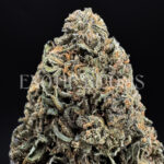 Rose Gold indica hybrid cannabis strain – available for weed delivery in DC, Virginia, and Richmond via Exotic Blooms