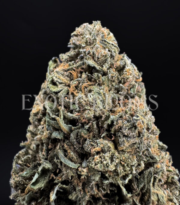 Rose Gold indica hybrid cannabis strain – available for weed delivery in DC, Virginia, and Richmond via Exotic Blooms