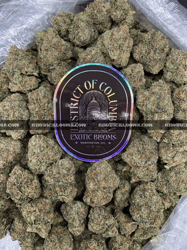 Runtzbert strain for delivery in Washington DC, Virginia, and Maryland – hybrid cannabis with sweet berry lime flavor and frosty green buds