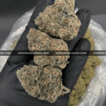 Runtzbert strain for delivery in Washington DC, Virginia, and Maryland – hybrid cannabis with sweet berry lime flavor and frosty green buds