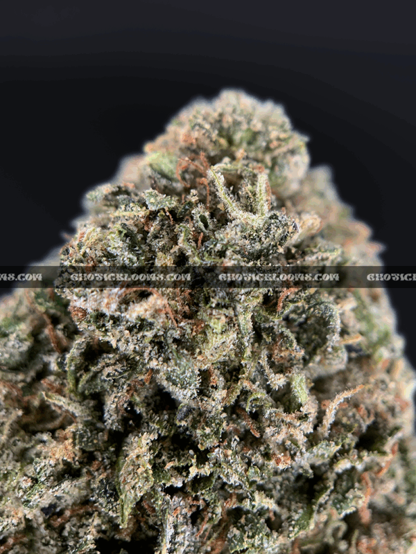 Runtzbert strain for delivery in Washington DC, Virginia, and Maryland – hybrid cannabis with sweet berry lime flavor and frosty green buds