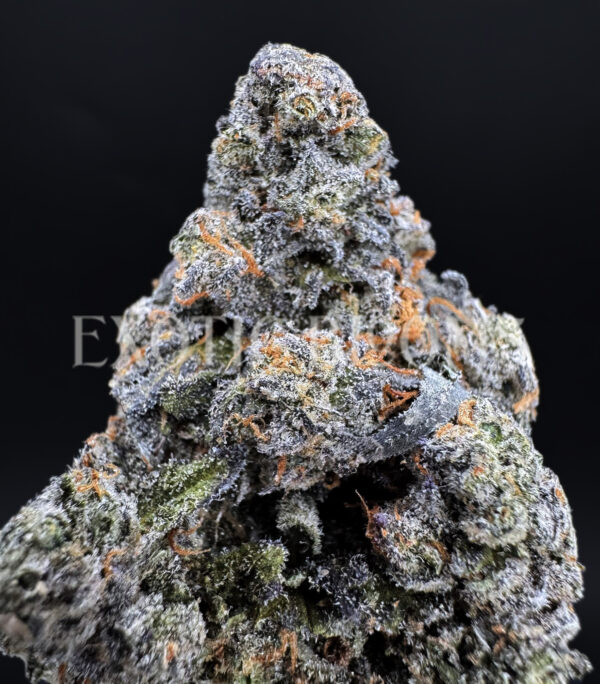 S’mores indica hybrid cannabis strain – available for weed delivery in DC, Virginia, and Richmond via Exotic Blooms