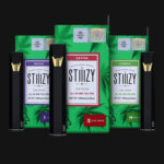 STIIIZY Disposable Pen– available for weed delivery in DC, Virginia, and Richmond via Exotic Blooms