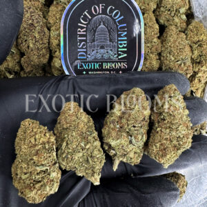 Sundae Driver strain hybrd cannabis buds for delivery in DC and Virginia