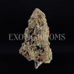 Sundae Driver strain hybrd cannabis buds for delivery in DC and Virginia