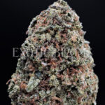 Sundae Driver strain hybrd cannabis buds for delivery in DC and Virginia