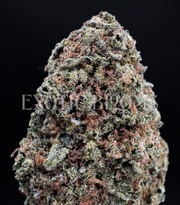 Sundae Driver strain hybrd cannabis buds for delivery in DC and Virginia