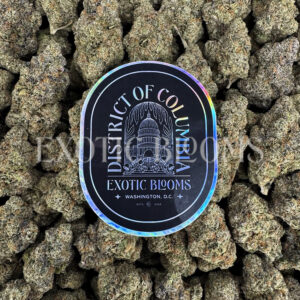 Triangle Mint sativa hybrid cannabis strain – available for weed delivery in DC, Virginia, and Richmond via Exotic Blooms