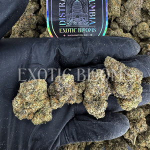 Triangle Mint sativa hybrid cannabis strain – available for weed delivery in DC, Virginia, and Richmond via Exotic Blooms