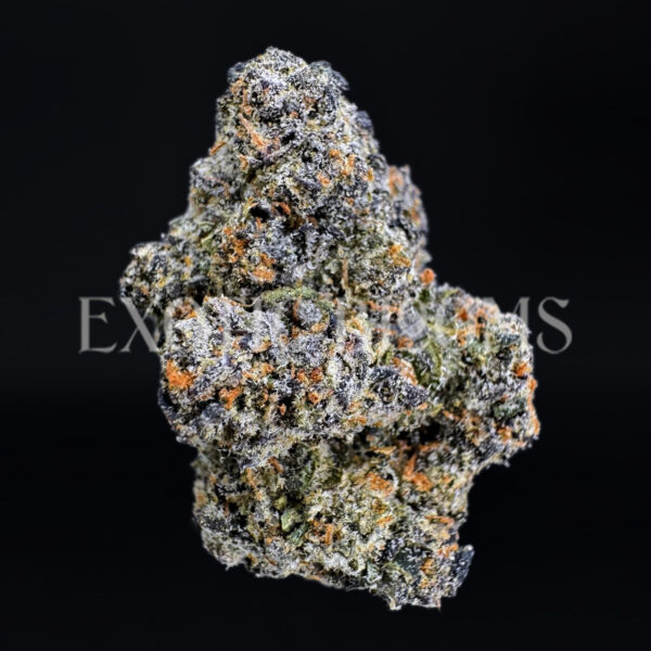 Triangle Mint sativa hybrid cannabis strain – available for weed delivery in DC, Virginia, and Richmond via Exotic Blooms
