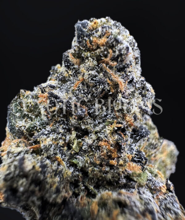 Triangle Mint sativa hybrid cannabis strain – available for weed delivery in DC, Virginia, and Richmond via Exotic Blooms