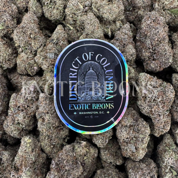 Tropicana Cookies sativa hybrid cannabis strain – available for weed delivery in DC, Virginia, and Richmond via Exotic Blooms