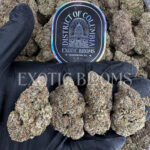 Tropicana Cookies sativa hybrid cannabis strain – available for weed delivery in DC, Virginia, and Richmond via Exotic Blooms