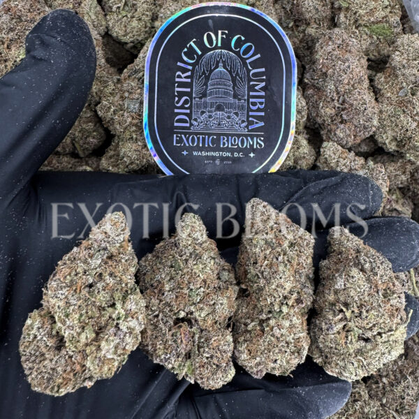 Tropicana Cookies sativa hybrid cannabis strain – available for weed delivery in DC, Virginia, and Richmond via Exotic Blooms