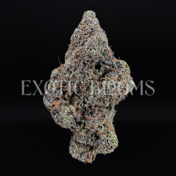 Tropicana Cookies sativa hybrid cannabis strain – available for weed delivery in DC, Virginia, and Richmond via Exotic Blooms