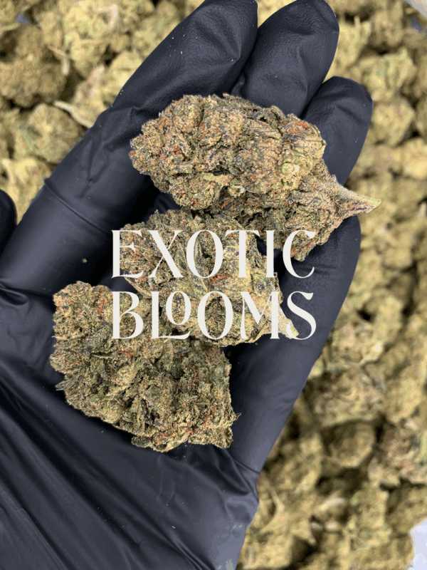 Warhead sativa-dominant hybrid strain with 23–26% THC, lemon-candy flavor, uplifting energy and focus. Available for weed delivery in DC, Virginia, Maryland, and Richmond.