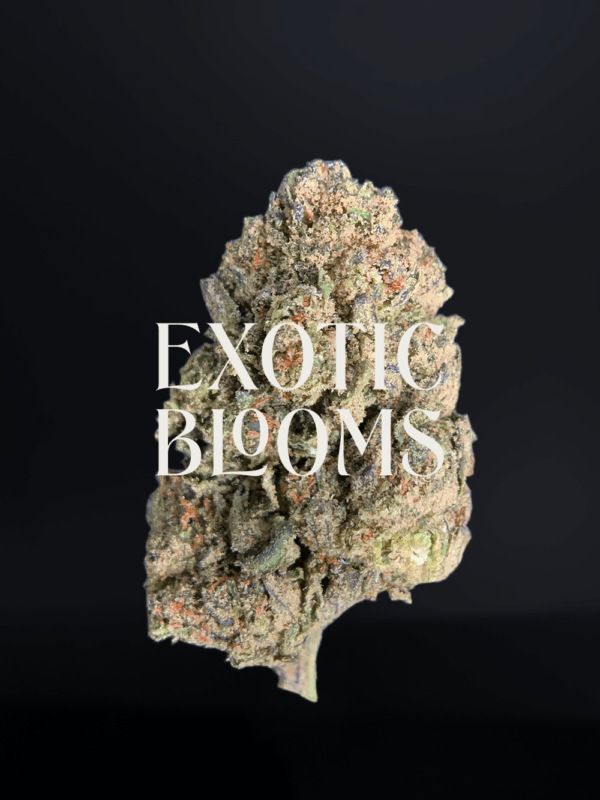 Warhead sativa-dominant hybrid strain with 23–26% THC, lemon-candy flavor, uplifting energy and focus. Available for weed delivery in DC, Virginia, Maryland, and Richmond.