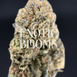 Warhead sativa-dominant hybrid strain with 23–26% THC, lemon-candy flavor, uplifting energy and focus. Available for weed delivery in DC, Virginia, Maryland, and Richmond.