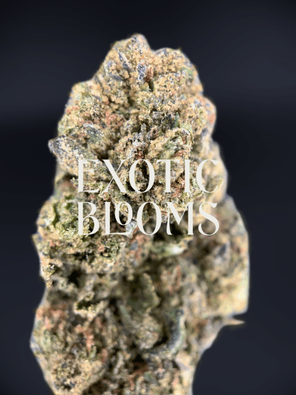 Warhead sativa-dominant hybrid strain with 23–26% THC, lemon-candy flavor, uplifting energy and focus. Available for weed delivery in DC, Virginia, Maryland, and Richmond.