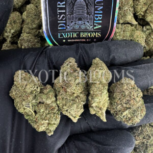 Watermelon Z strain indica cannabis buds for delivery in DC and Virginia