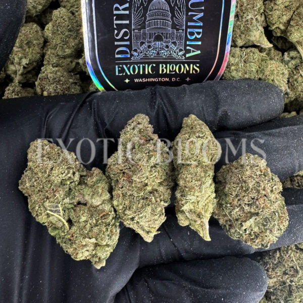 Watermelon Z strain indica cannabis buds for delivery in DC and Virginia