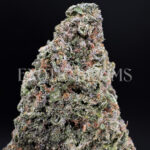 Watermelon Z strain indica cannabis buds for delivery in DC and Virginia