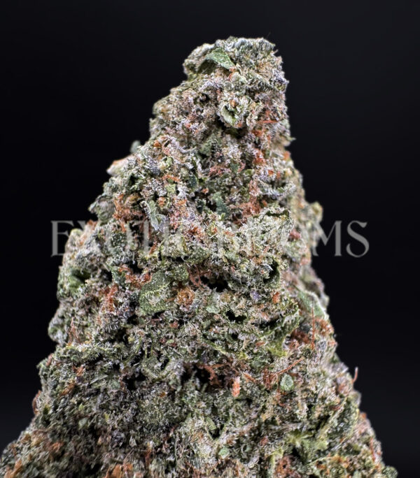 Watermelon Z strain indica cannabis buds for delivery in DC and Virginia