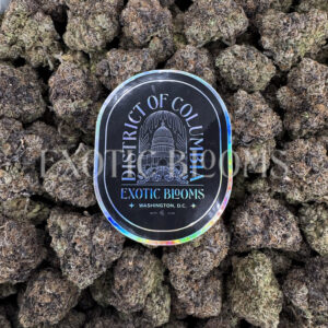 White Rainbow sativa hybrid cannabis strain – available for weed delivery in DC, Virginia, and Richmond via Exotic Blooms
