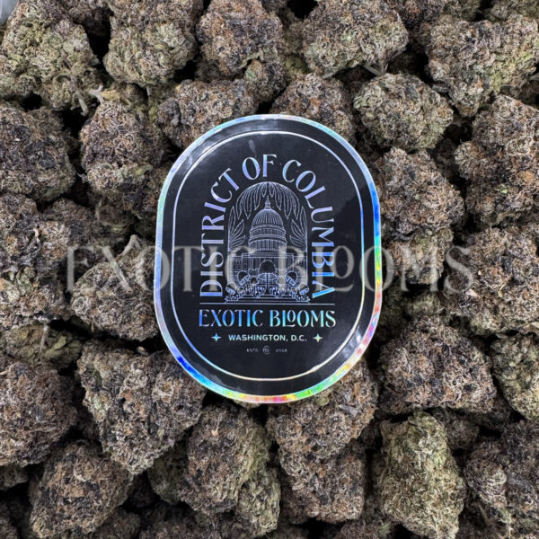 White Rainbow sativa hybrid cannabis strain – available for weed delivery in DC, Virginia, and Richmond via Exotic Blooms
