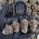 White Rainbow sativa hybrid cannabis strain – available for weed delivery in DC, Virginia, and Richmond via Exotic Blooms