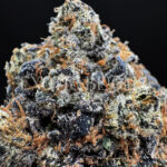 White Rainbow sativa hybrid cannabis strain – available for weed delivery in DC, Virginia, and Richmond via Exotic Blooms