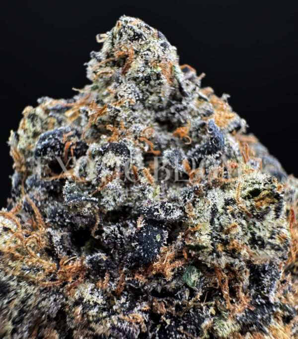 White Rainbow sativa hybrid cannabis strain – available for weed delivery in DC, Virginia, and Richmond via Exotic Blooms