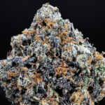 White Rainbow sativa hybrid cannabis strain – available for weed delivery in DC, Virginia, and Richmond via Exotic Blooms
