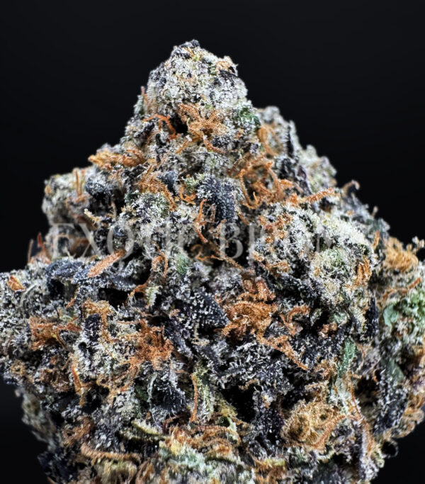 White Rainbow sativa hybrid cannabis strain – available for weed delivery in DC, Virginia, and Richmond via Exotic Blooms