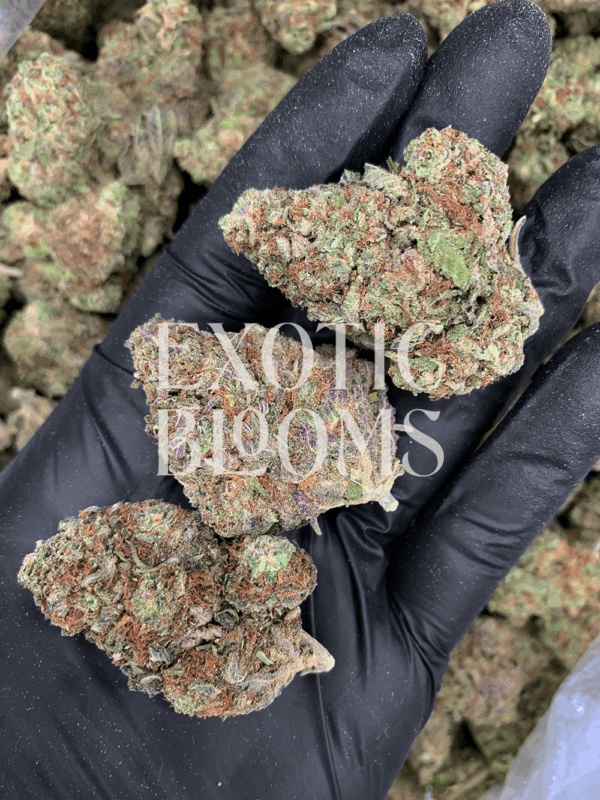 Blackberry OG (Blackberry Kush) cannabis strain with sweet berry flavor and relaxing effects – delivery available in Washington DC, Virginia, Maryland & Richmond.