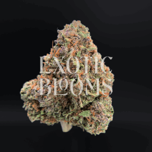 Blackberry OG (Blackberry Kush) cannabis strain with sweet berry flavor and relaxing effects – delivery available in Washington DC, Virginia, Maryland & Richmond.